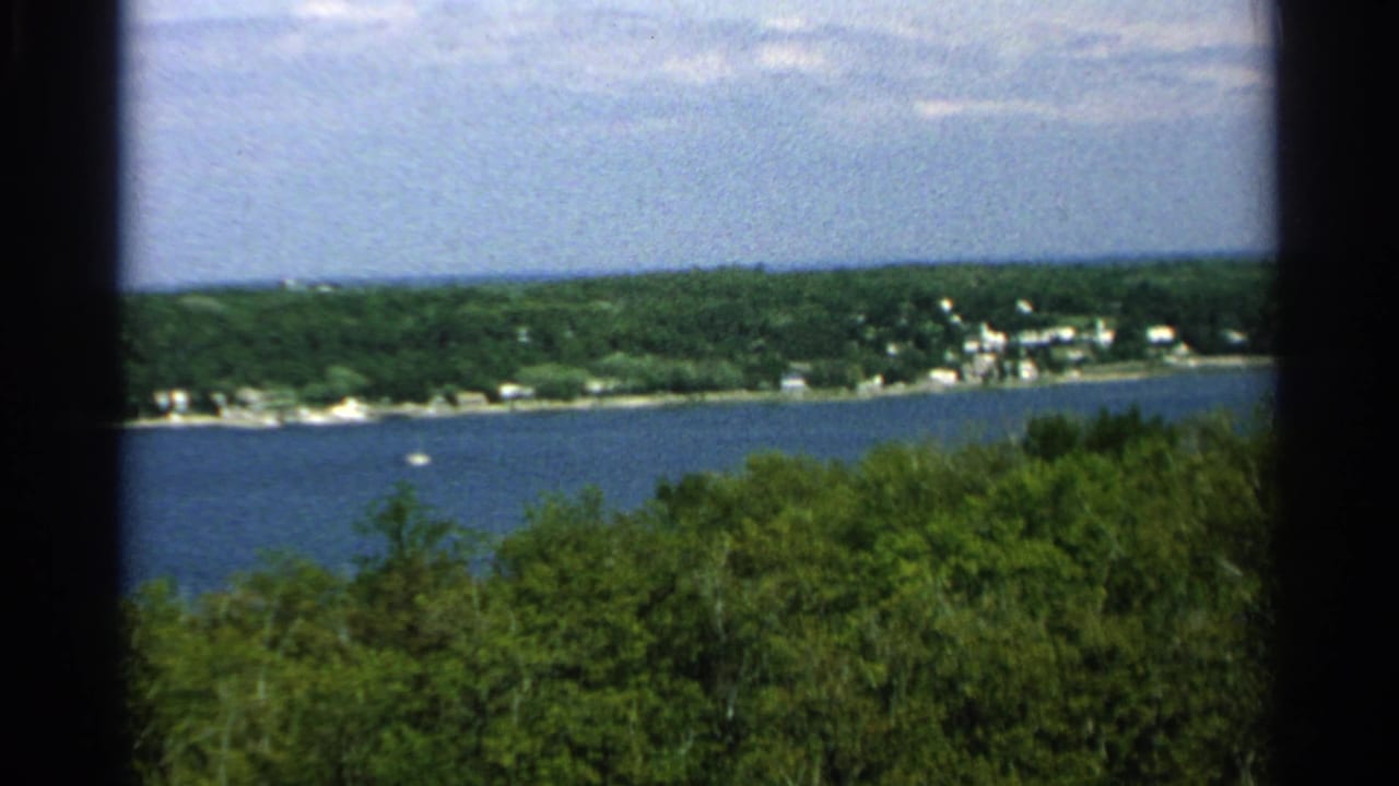 Distant lakeshore settlement seen beyond water and foreground trees.