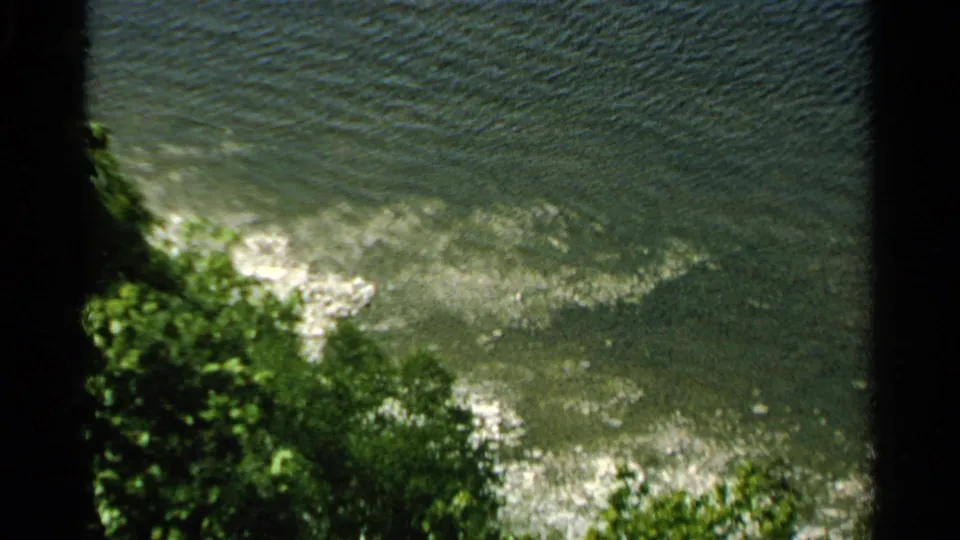 1964 Washington Island water surface with sunlit ripples, nearby green foliage, and a wooded shore beyond.