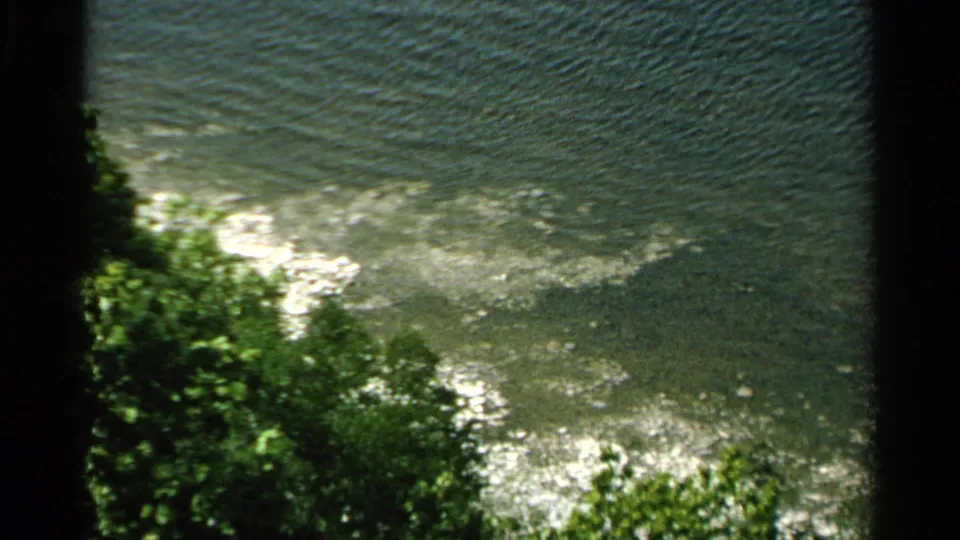 Washington Island shoreline footage from 1964 showing shimmering water, leafy foreground growth, and a low wooded horizon.