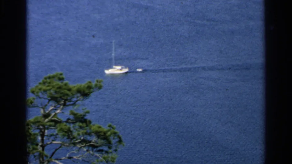 The 8mm frame shows a white sailboat with a small trailing craft on blue water, partly framed by a pine tree.