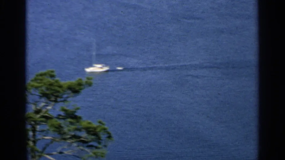 A white sailboat travels across calm blue water in the Washington Island sequence, framed by dark pine branches below.