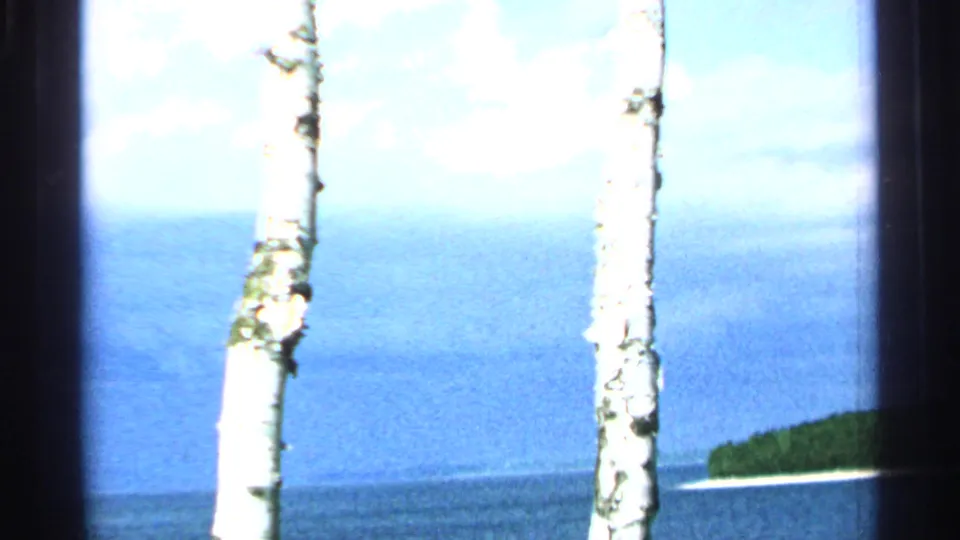 Washington Island home-movie view with two pale birch trunks in front of blue water, a distant tree-lined shore and bright sky.