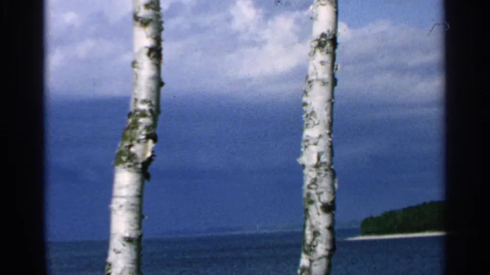 Washington Island, Wisconsin lakeshore view in 1964 8mm footage, with white birch trunks, blue water, distant trees, and cloudy sky.
