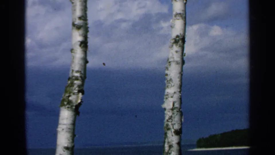 A 1964 8mm lakeshore frame from Washington Island shows birch trunks, blue water, cloud cover, and a distant wooded edge.