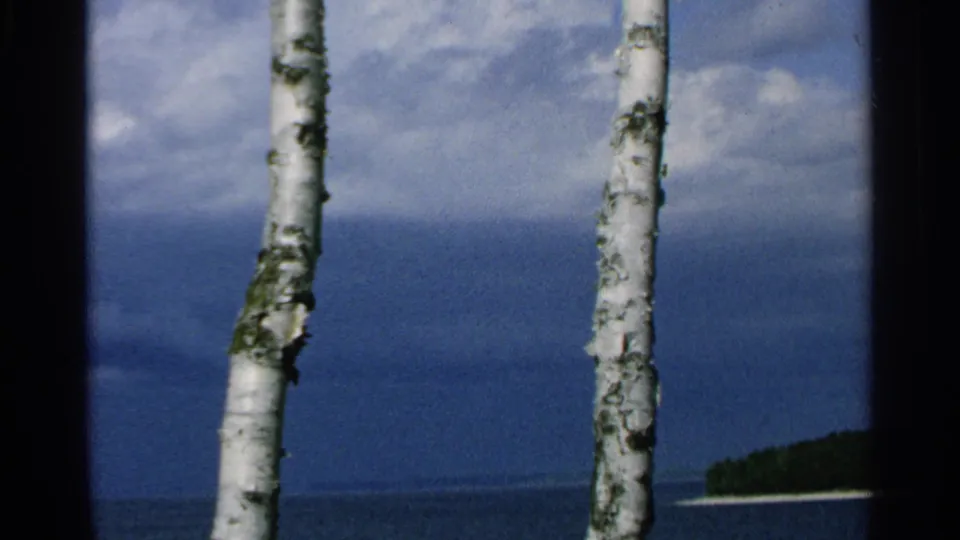 1964 Washington Island lakeshore view with two birch trunks framing blue water, a low shoreline, and heavy clouds.