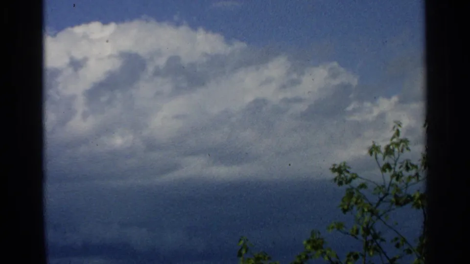 1964 lakeshore frame showing broad clouds over Washington Island water with wind-touched foliage at right.