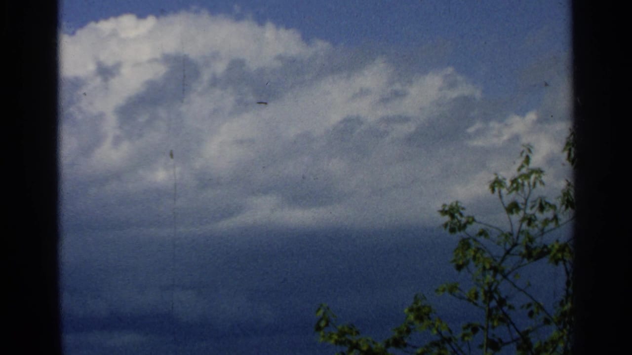 Cloudy sky above a small leafy tree branch, framed by dark 8mm film borders.