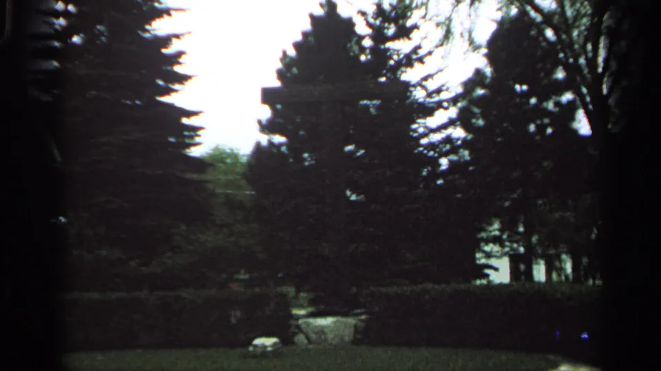 Wider 1964 Washington Island cemetery view with tall trees, hedges, shaded lawn, and bright sky beyond the grave marker scene.