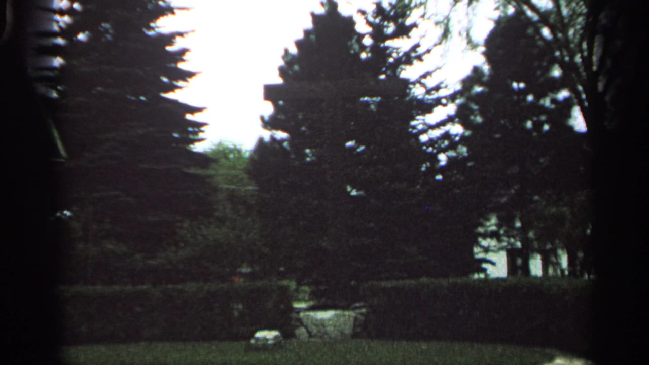 Dark garden view through tall trees with hedge, grass, and a small light stone near the path.