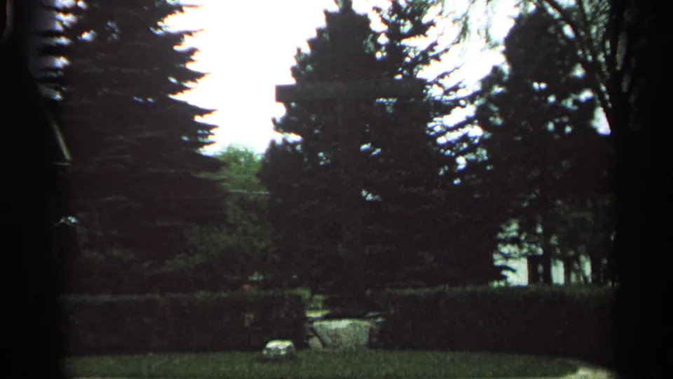 Washington Island memorial garden seen through shadowed trees, with a hedge, lawn, path edge, and small pale marker visible in soft 8mm color.