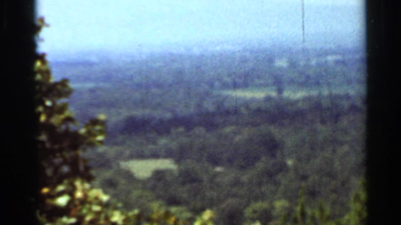 1965 Arkansas countryside seen from above, with wooded hills, pale fields, foreground leaves, and a soft blue haze.