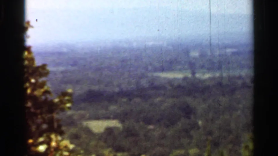 Soft 8mm frame of Arkansas hills and fields, with heavy haze, trees, foreground leaves, and visible film wear.