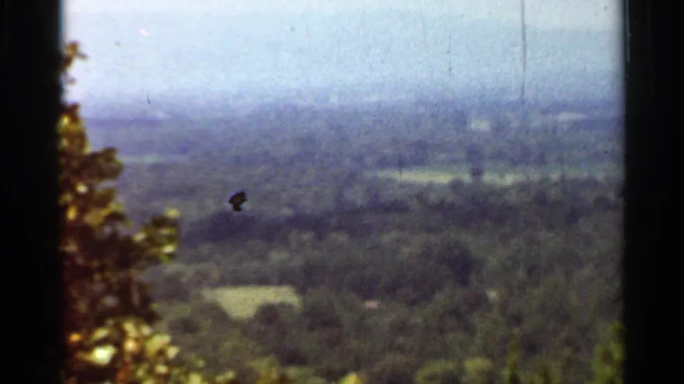 1965 Arkansas rural view with wooded slopes, small green fields, foreground foliage, haze, grain, and a visible dust spot.