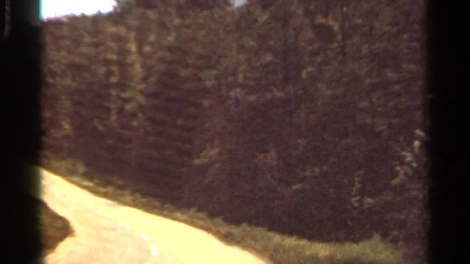 1965 Arkansas home-movie frame with a bright curving road cutting past dense trees and a wooded hillside.
