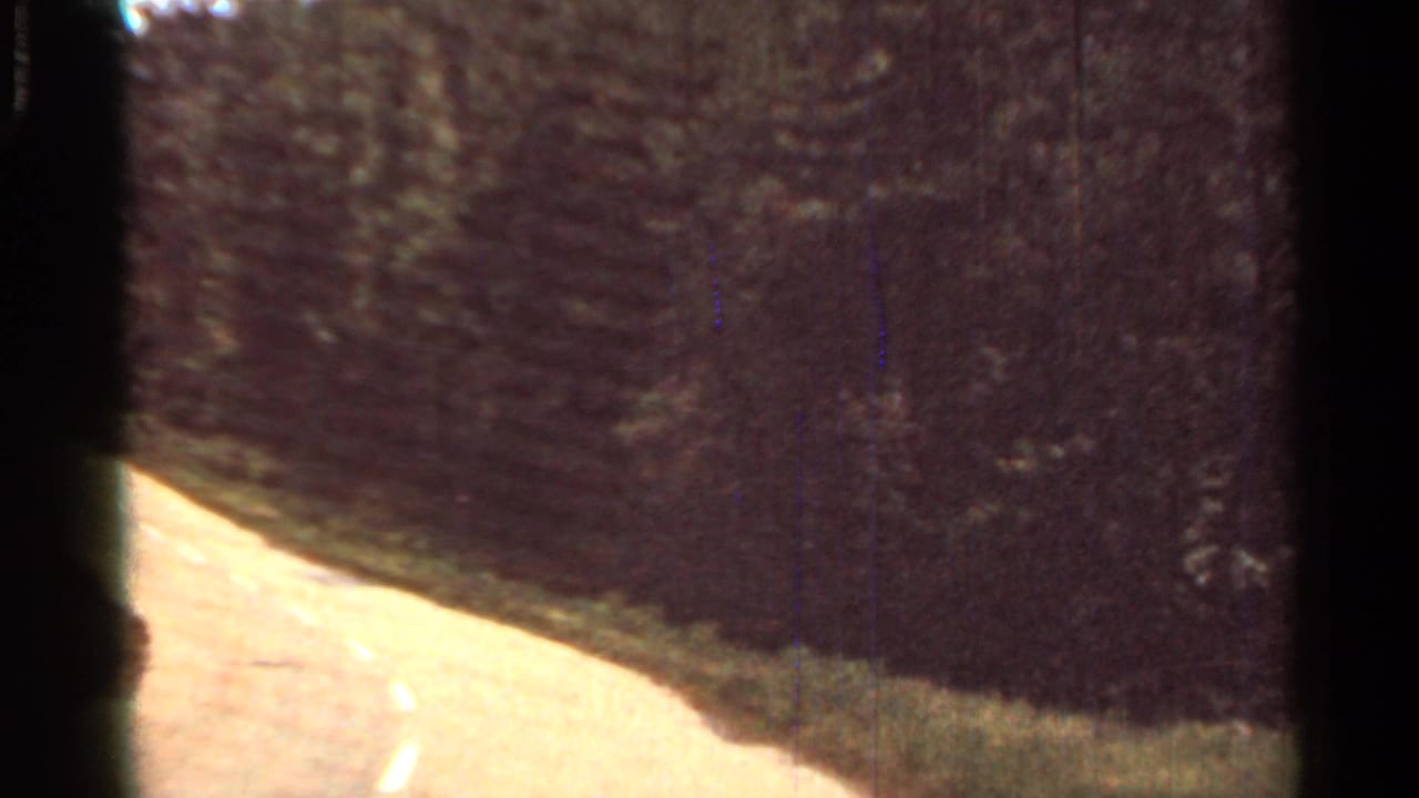 Curving rural asphalt road bordered by dark trees and weeds.
