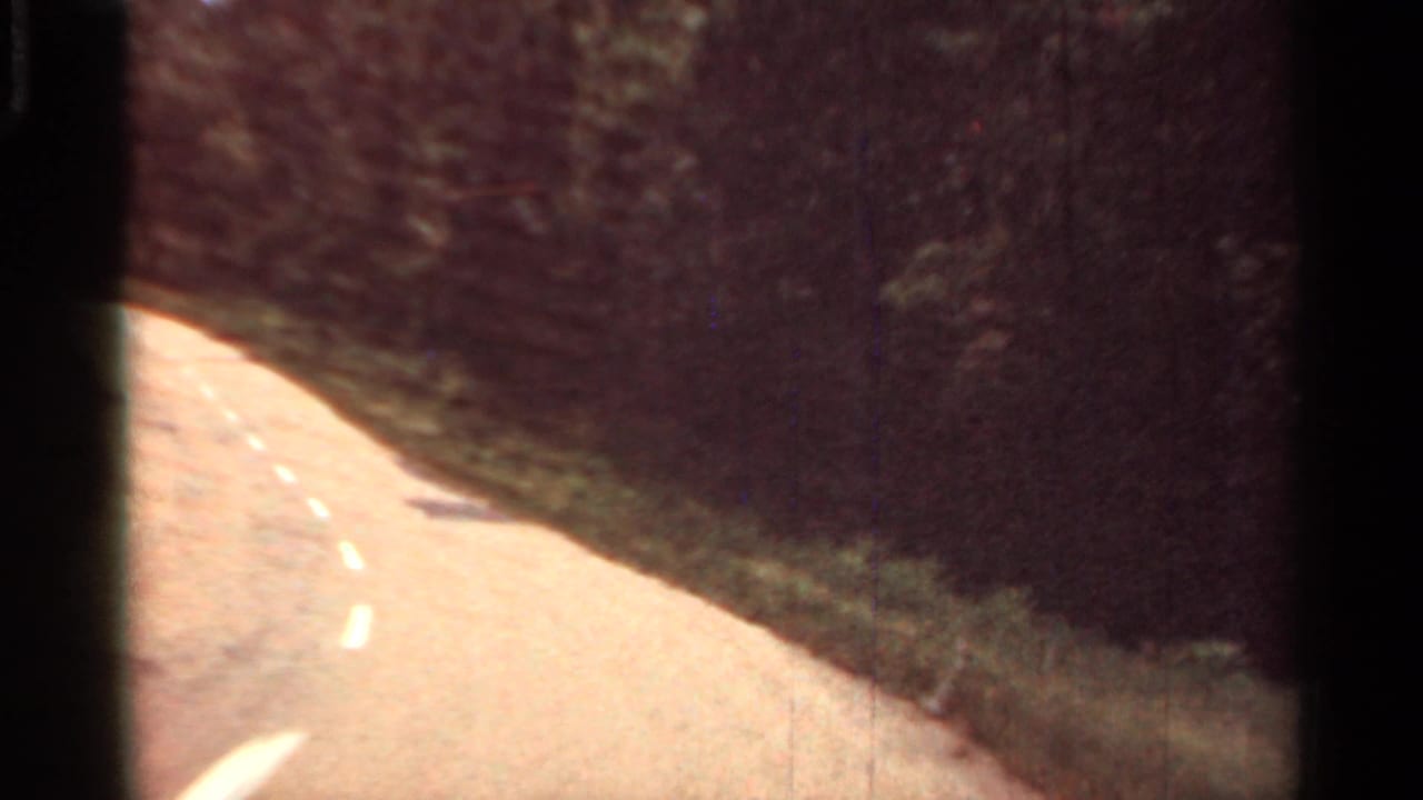 Two-lane road curves past dense trees and grassy shoulder.