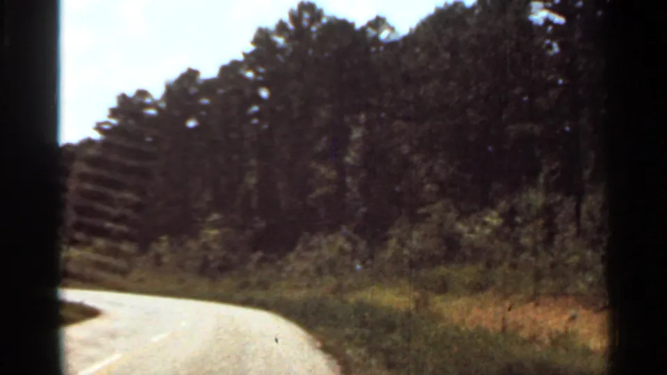 1965 Arkansas 8mm frame of a sunlit rural road edge, dense trees, brush, and a pale asphalt curve from a vehicle viewpoint.