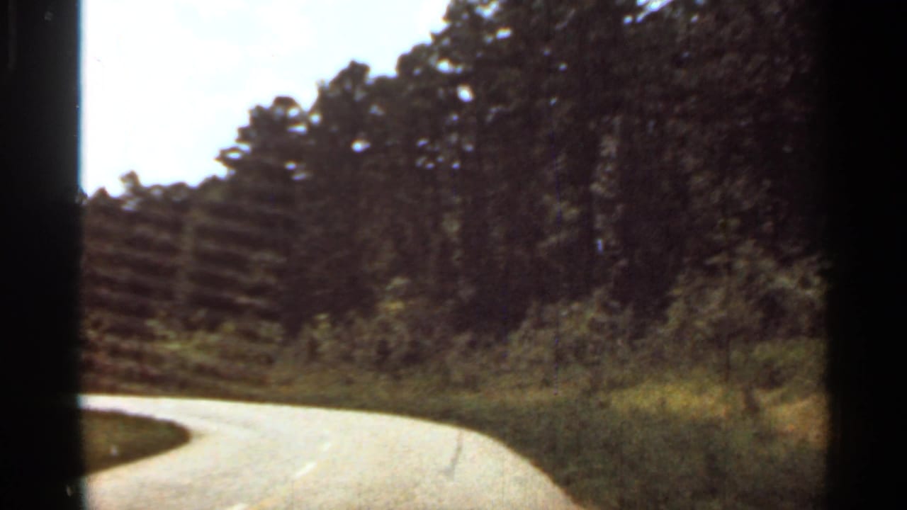 1965 Arkansas 8mm frame showing a curving paved road through wooded roadside vegetation from inside a moving vehicle.