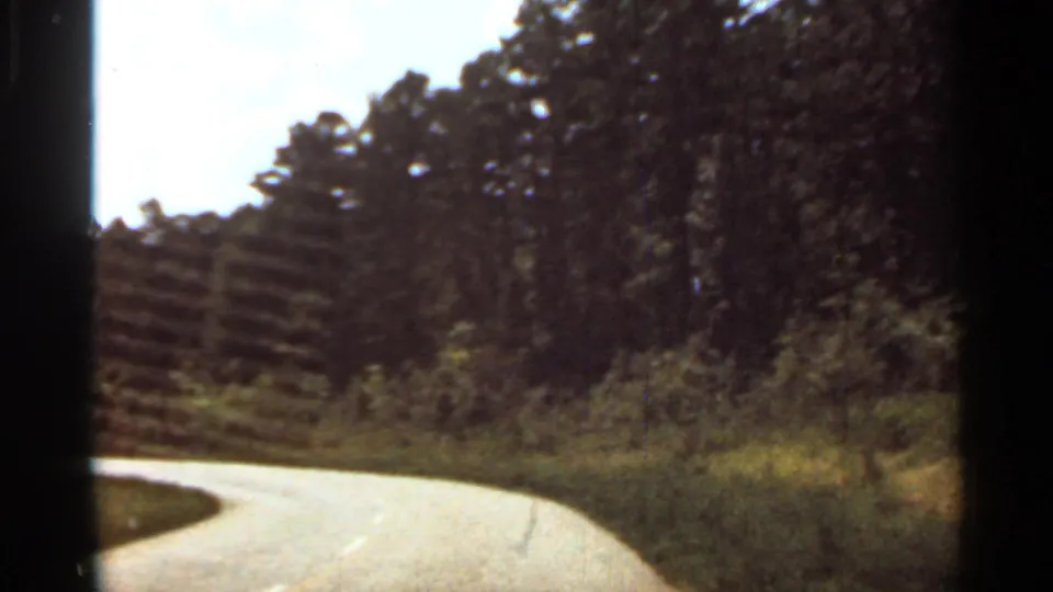 1965 Arkansas 8mm frame showing a curving paved road through wooded roadside vegetation from inside a moving vehicle.