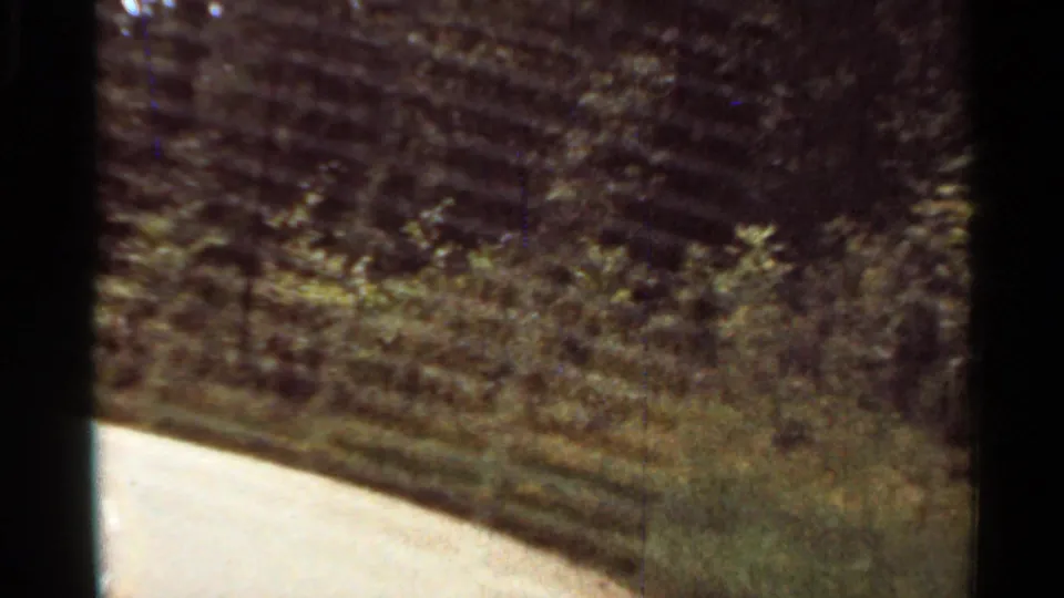 1965 home-movie frame showing a closer view of the road edge, roadside vegetation, and wooded background during a moving car shot.