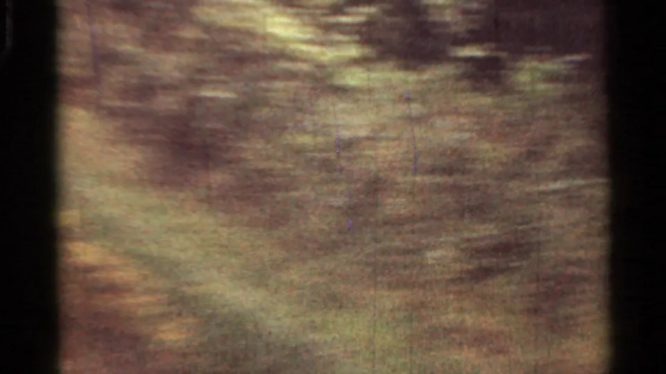 Motion-blurred 8mm frame from the Arkansas road sequence, showing roadside grass and trees as the vehicle continues past.