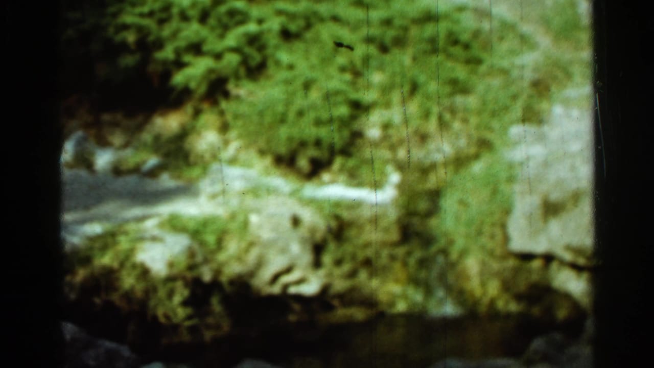Blurred view of a rocky path beside dense green foliage and stonework.