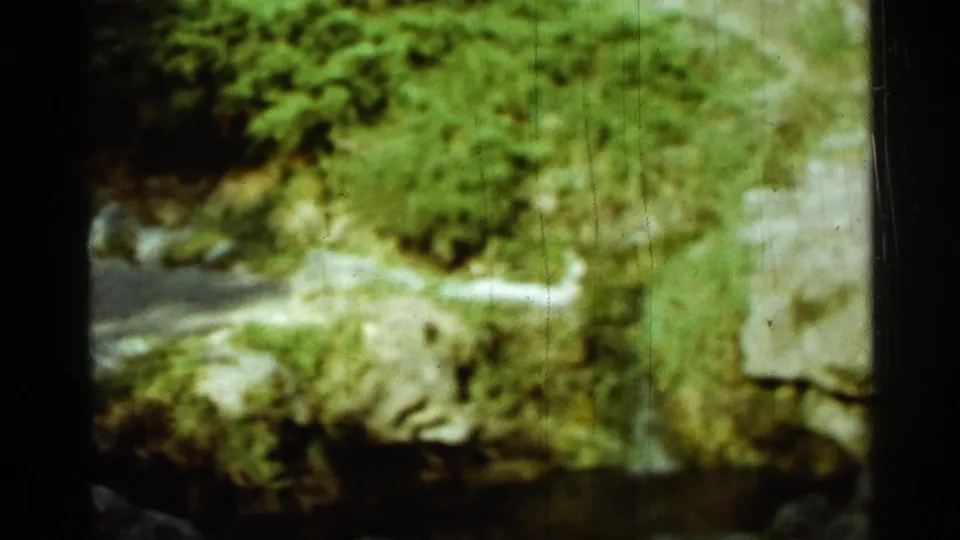 1965 Arkansas home-movie frame with dense greenery, mossy stone, a pale footpath, and a vertical stone edge.