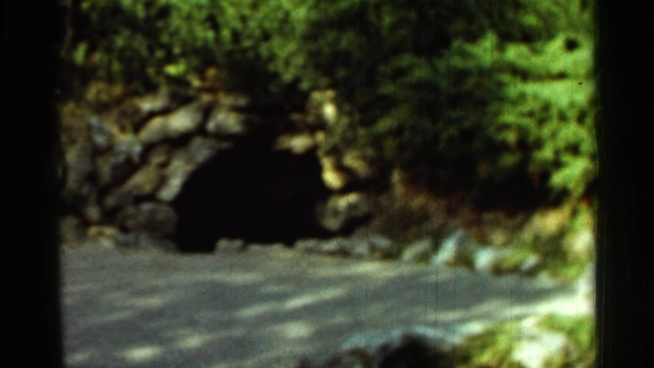 Dark stone tunnel opening beside a paved road under dense green trees.