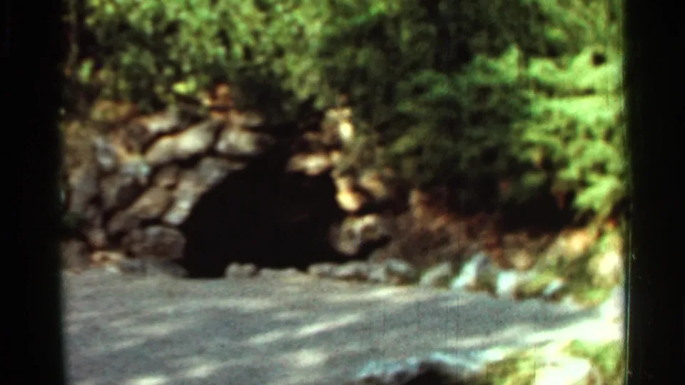 1965 Arkansas 8mm frame with soft focus on a stone tunnel or culvert entrance near a paved road and dense green foliage.