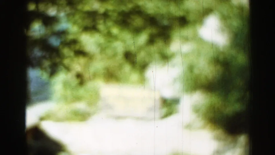 Final 1965 Arkansas 8mm frame shifts into a blurred, bright view of trees, roadside greenery, and pale pavement or path.