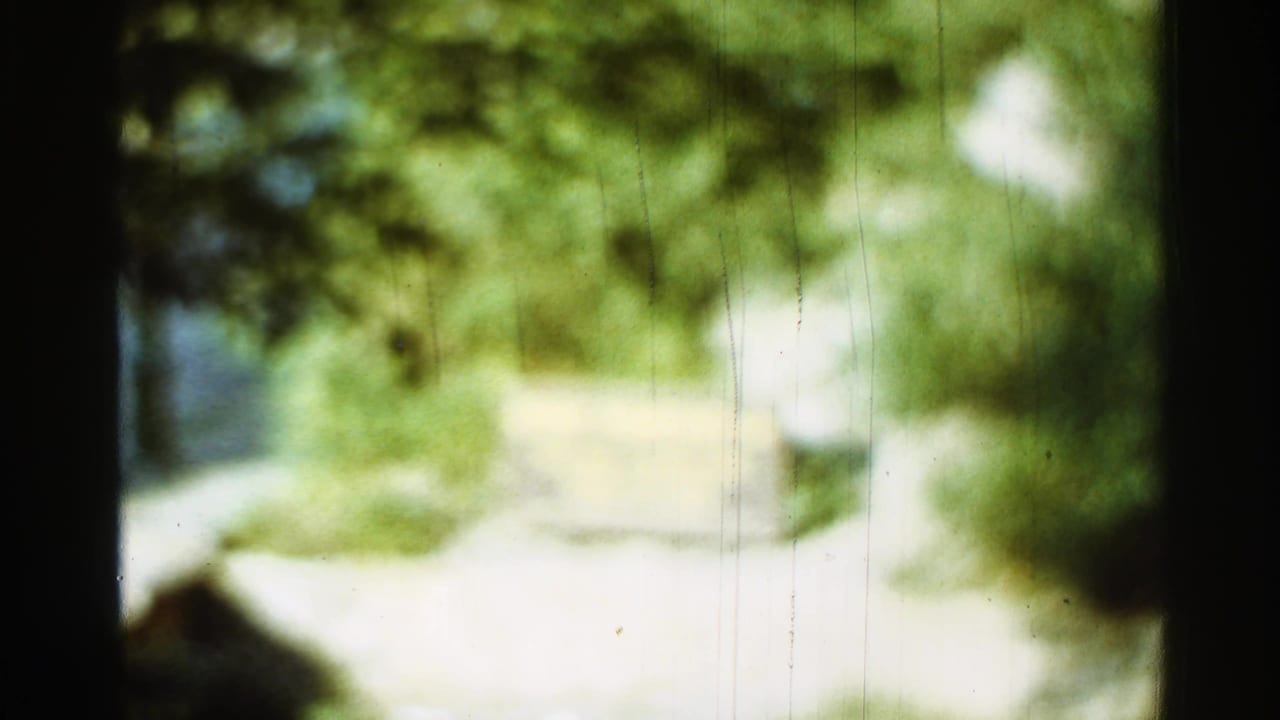 Blurred 1965 Arkansas 8mm frame showing a bright outdoor path bordered by dense green foliage.