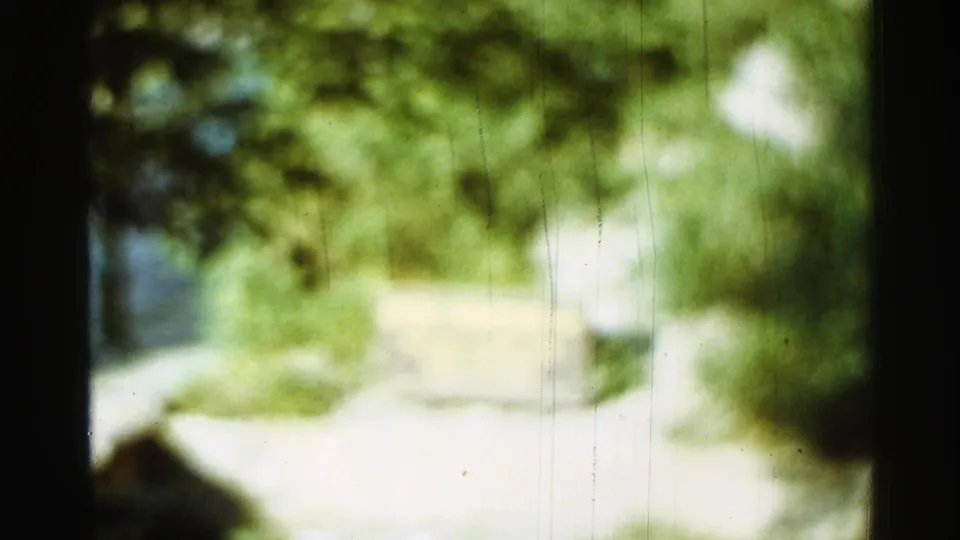 Blurred 1965 Arkansas 8mm frame showing a bright outdoor path bordered by dense green foliage.