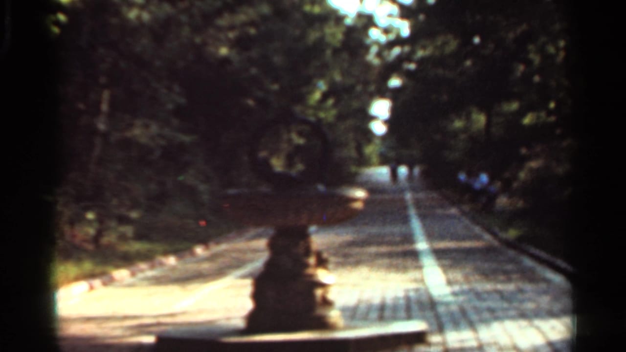 Tree-lined residential street with a sidewalk and a small dark figure in the distance.