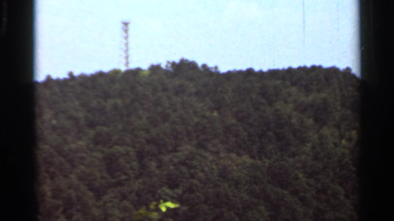 Forested hilltop with a narrow communications tower against a bright sky.
