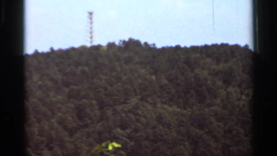 1965 Arkansas 8mm frame showing a tree-covered hillside and a narrow tower near the skyline, filmed from a distant overlook.