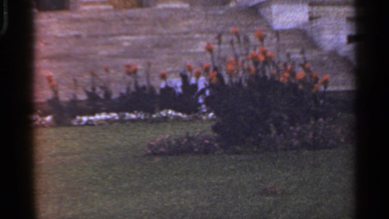 1965 Arkansas 8mm frame showing orange poppies and low garden planting beside grass with stone architecture in the background.