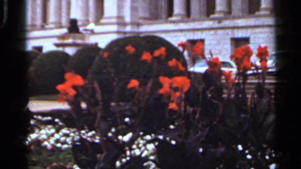 Soft 8mm frame from 1965 Arkansas showing orange poppies, white bedding flowers, rounded shrubs, and a pale urban building facade.