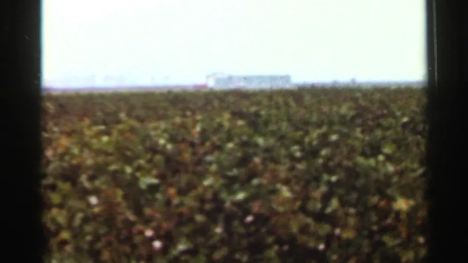 1965 Arkansas 8mm view of a crop field under a bright overcast sky, with distant farm structures blurred on the horizon.