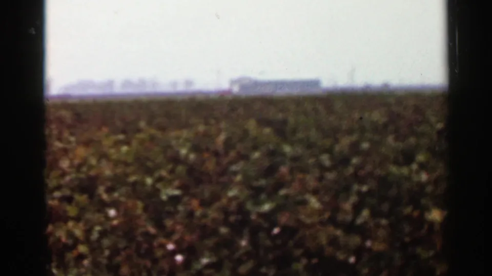 1965 Arkansas 8mm frame of farmland with a blurred block-like structure on the horizon and dark frame borders at the sides.