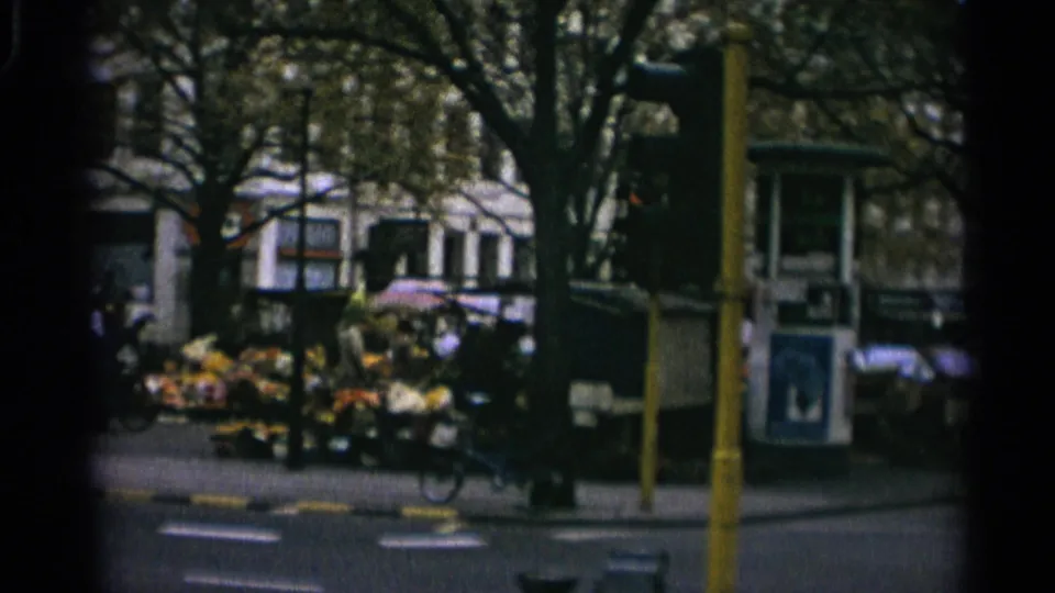 Final Copenhagen market view showing produce displays, pedestrians, a bicycle, yellow street pole, trees, and roadside street furniture.