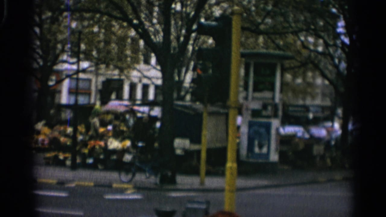 1965 Copenhagen street view with a roadside flower stall, leafy trees, a yellow traffic pole, and a small kiosk across the road.