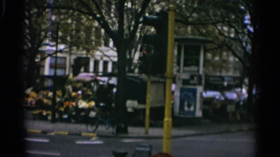 1965 Copenhagen street view with a roadside flower stall, leafy trees, a yellow traffic pole, and a small kiosk across the road.