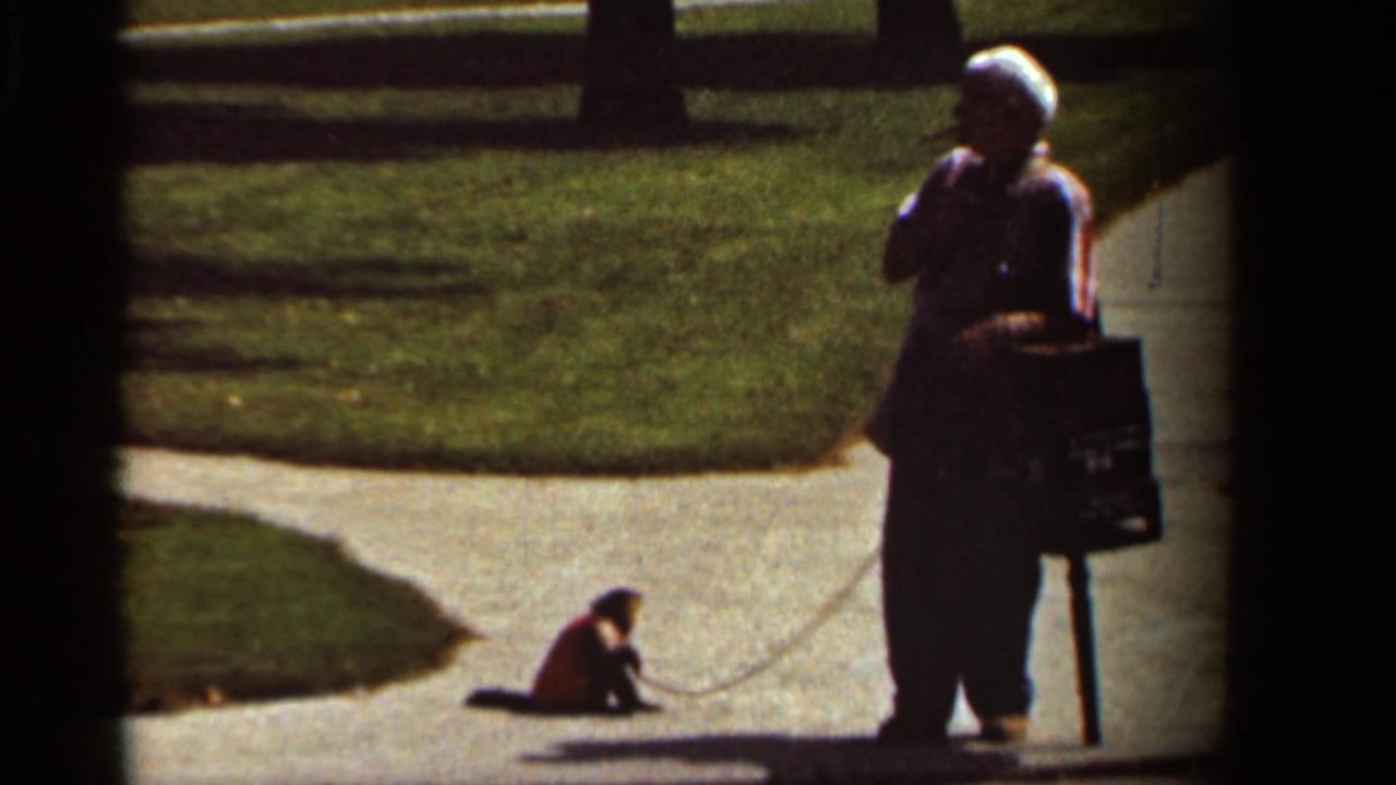 In 1965 Kansas City footage, a man on a sidewalk holds a leash as a small clothed monkey crouches nearby.