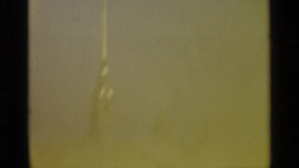 Yellow-green blank 8mm frame from the 1965 Leningrad clip, with gate-edge darkness and a faint vertical exposure mark.