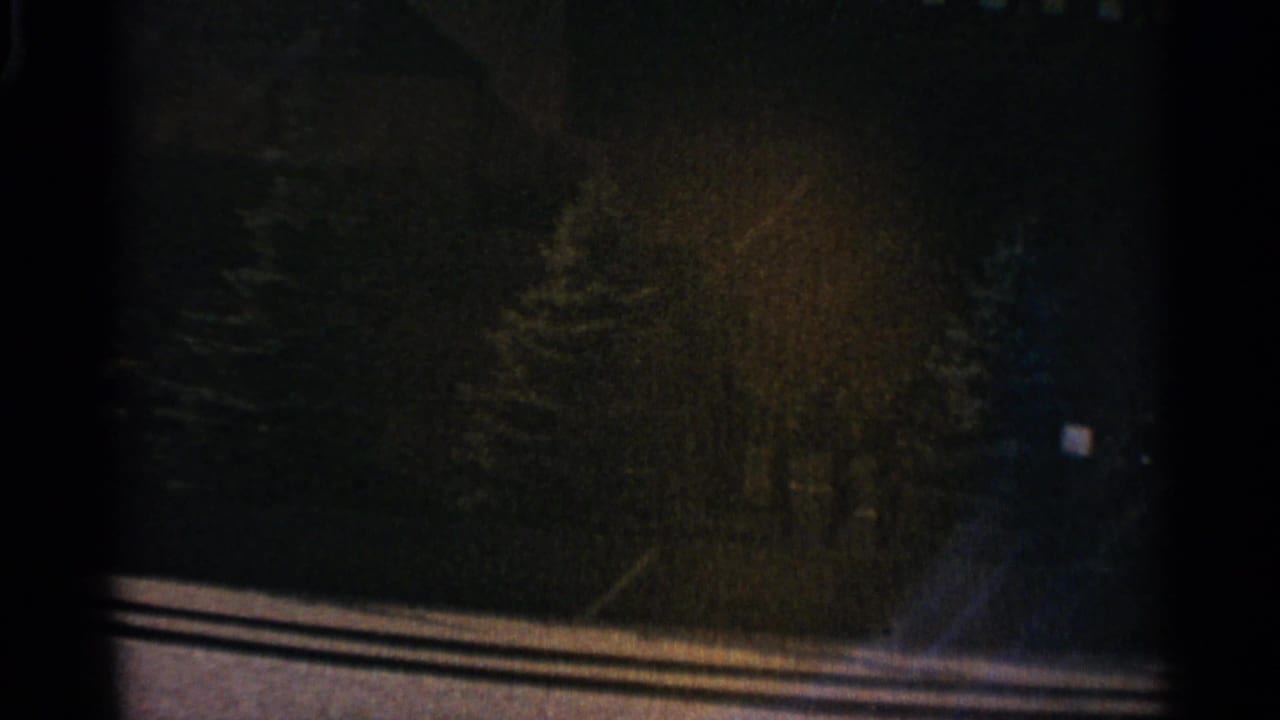 Dark frame with trees or shrubs and a low horizontal edge near the bottom.