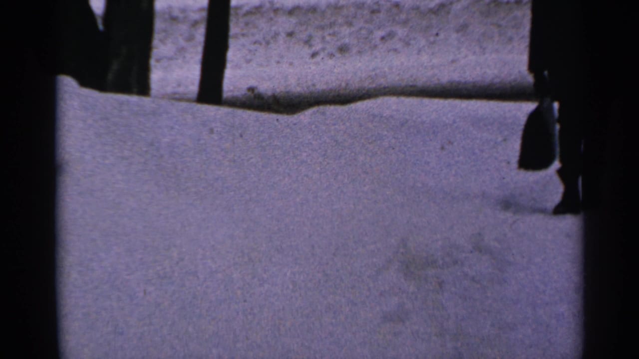 Snow-covered ground with dark tree trunks and a partial dark figure near the frame edge.