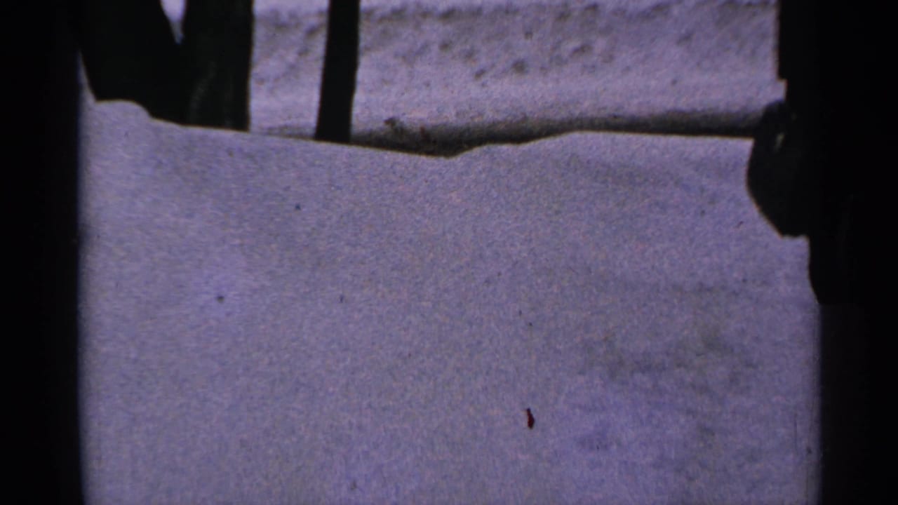 Snowy yard with dark tree trunks and a partial dark figure at the right edge.
