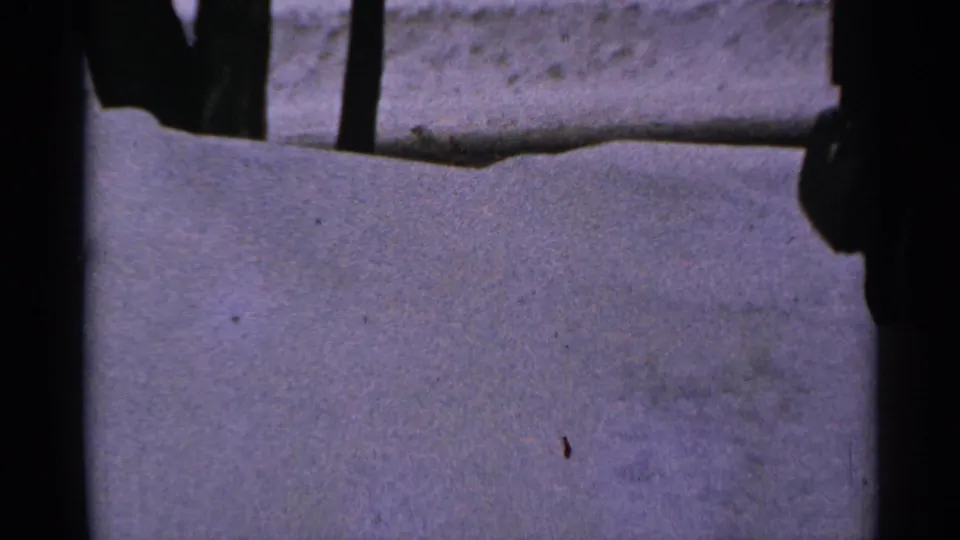 1965 Minnesota home-movie frame of a snow-covered yard, tree trunks, and a dark figure partly visible along the right border.