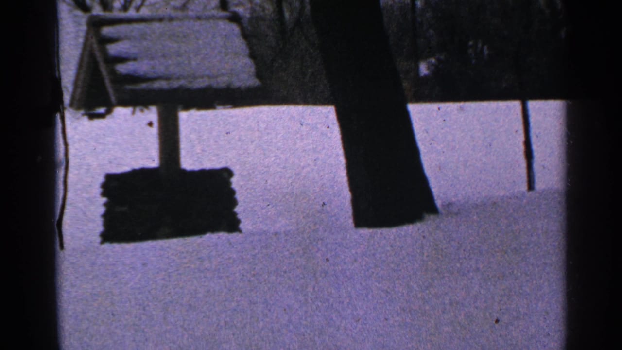 1965 Minnesota 8mm frame showing a small roofed well surrounded by snow and leafless trees.