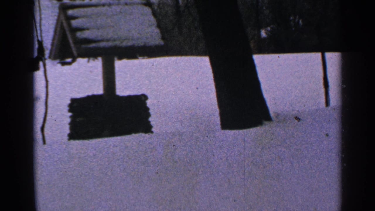The snowy well remains centered in a 1965 Minnesota winter view, with dark trees cutting through the frame.